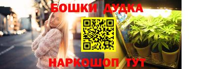 шишки Берёзовский