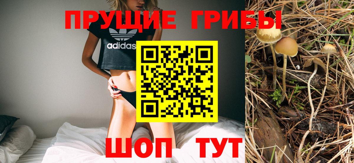 Псилоцибиновые грибы MAGIC MUSHROOMS Гатчина