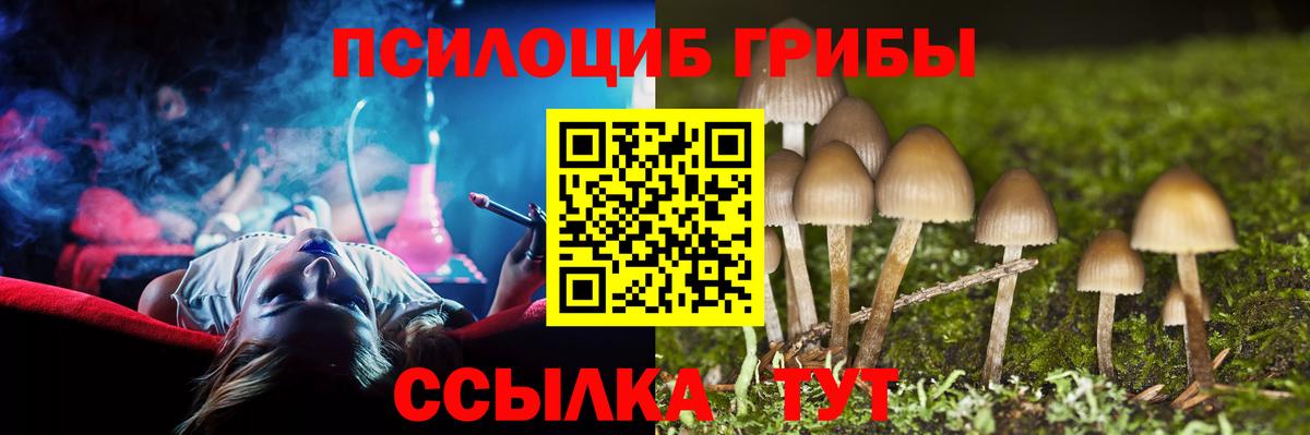 Гатчина  Галлюциногенные грибы MAGIC MUSHROOMS  Вход с VPN  Псилоцибиновые грибы GOLDEN TEACHER 